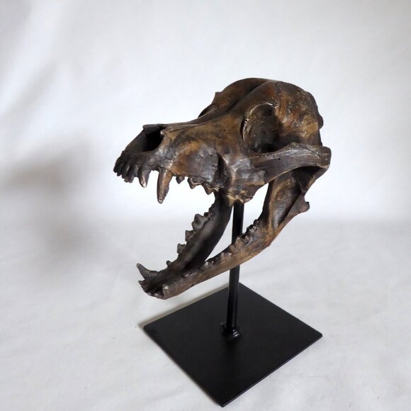 NEW REPLICA DIRE WOLF SKULL ON METAL BASE GOTHIC ODDITY SCULPTURE - Picture 5 of 10